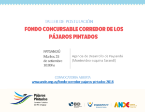 Lanzamiento del Fondo Concursable de los Pájaros Pintados @ Agencia de Desarrollo Paysandú | Paysandú | Departamento de Paysandú | Uruguay