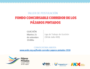 Lanzamiento del Fondo Concursable de los Pájaros Pintados (Guichón) @ Agencia de Desarrollo Paysandú | Paysandú | Departamento de Paysandú | Uruguay